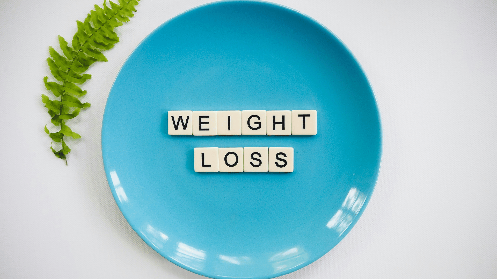Gut Health And Weight Loss