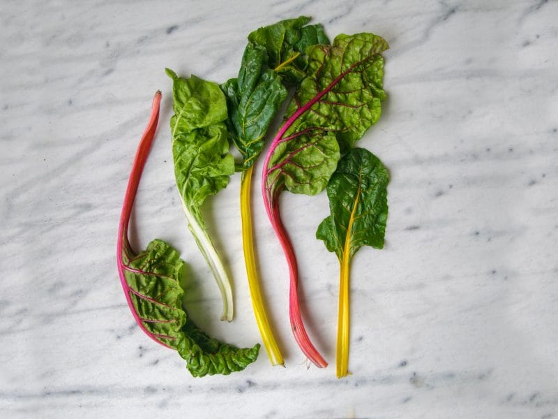 Plant-Based-Protein-Sources