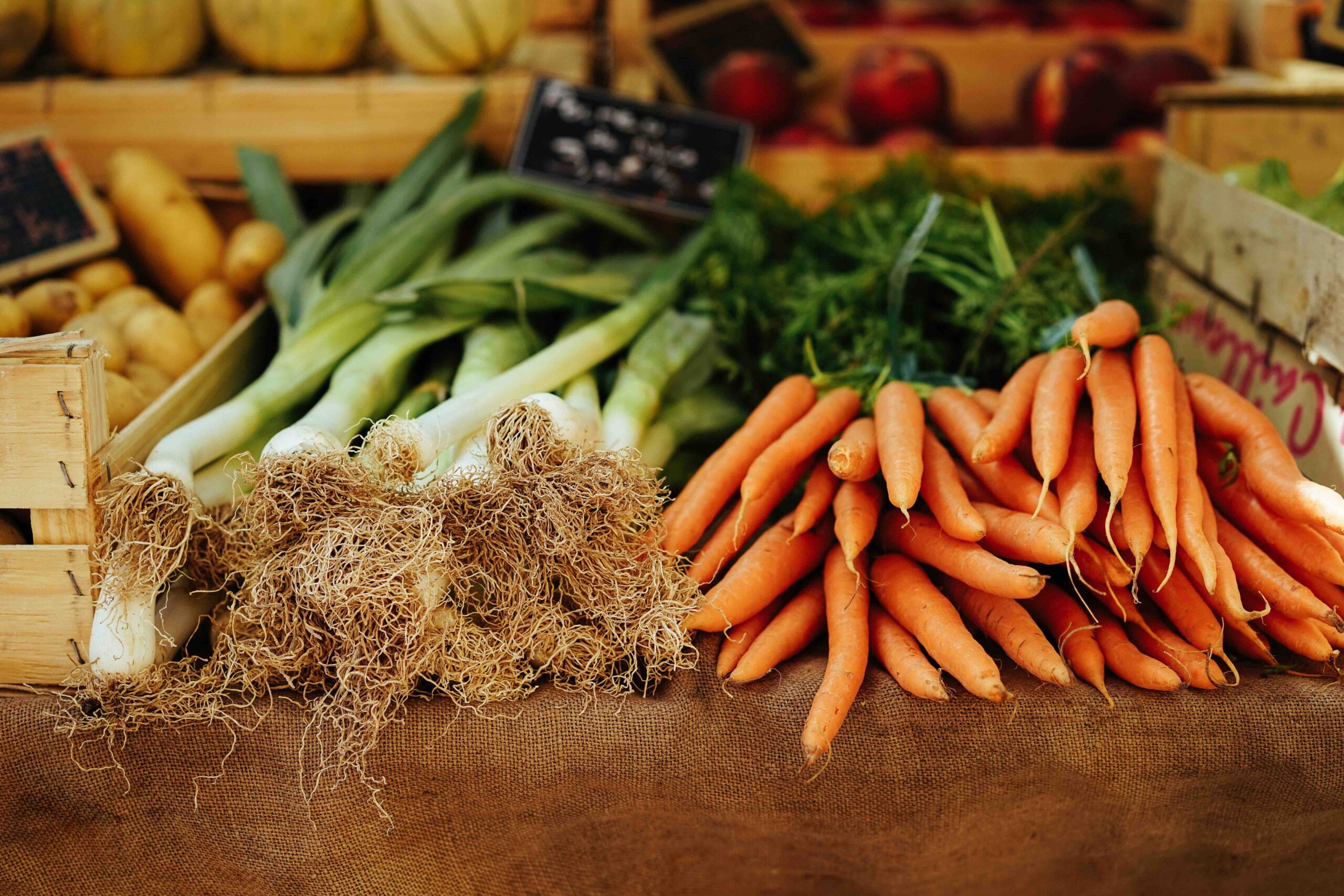 Raw Vegetables Vs Cooked- Benefits, Tips And Best Practices For This Simple Gut-Healing Hack