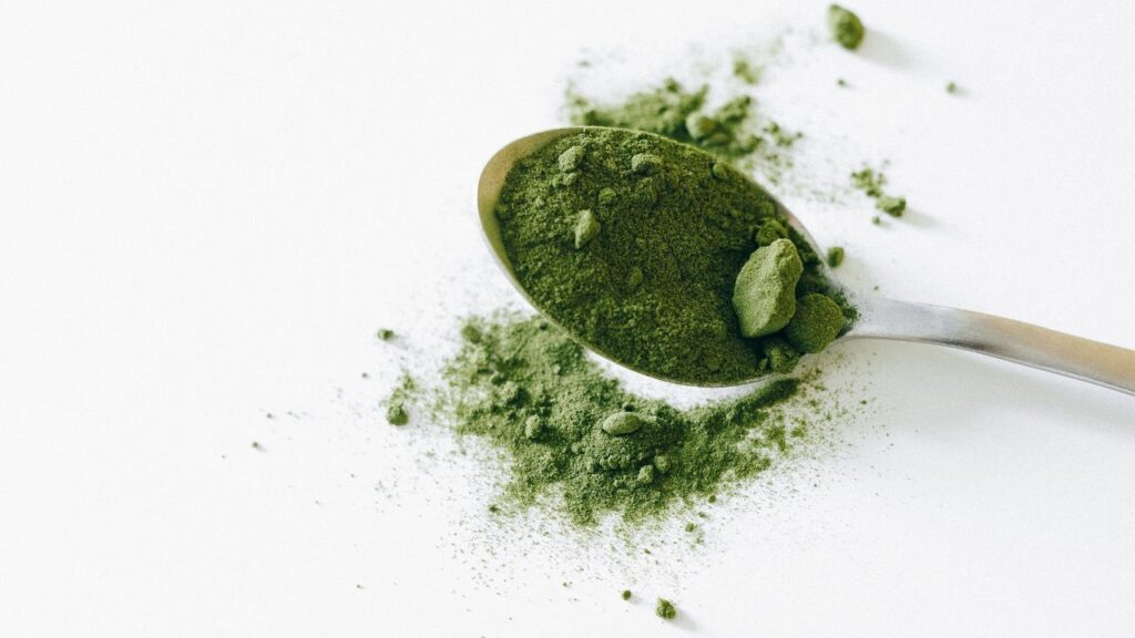 Collagen Protein