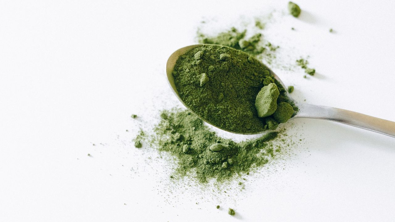 Collagen Protein