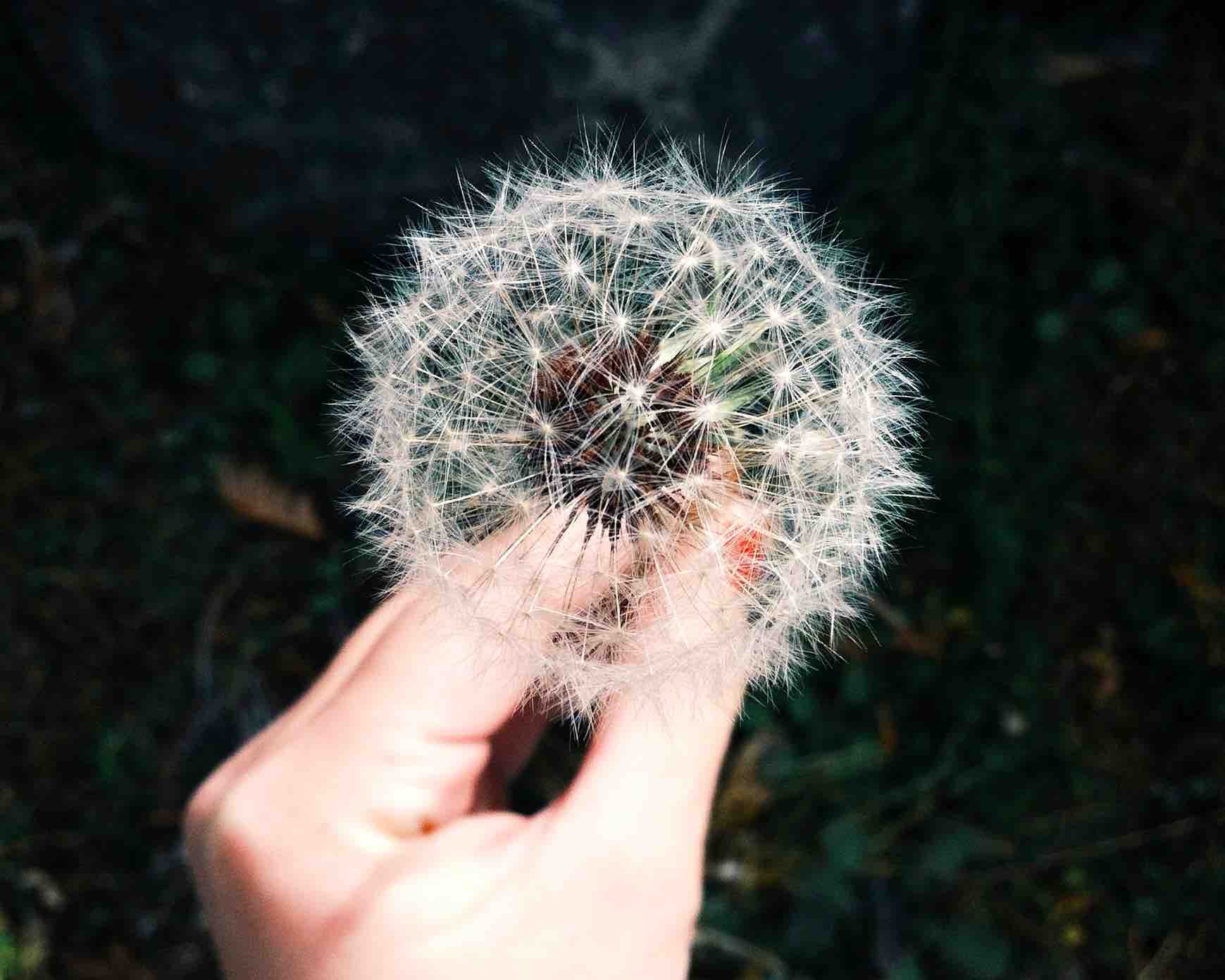 Seasonal Allergies
