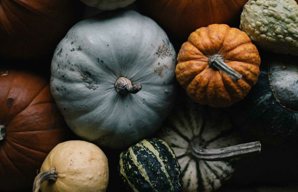 Pumpkin Health Benefits