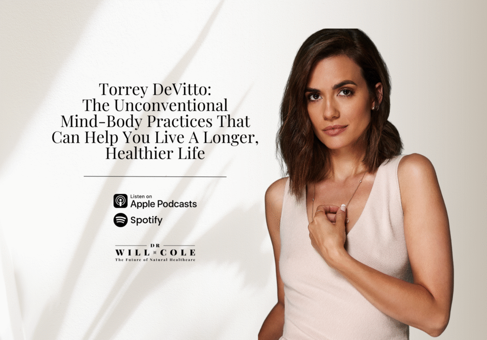 Torrey Devitto