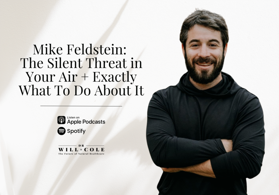 Mike Feldstein - Blog Post